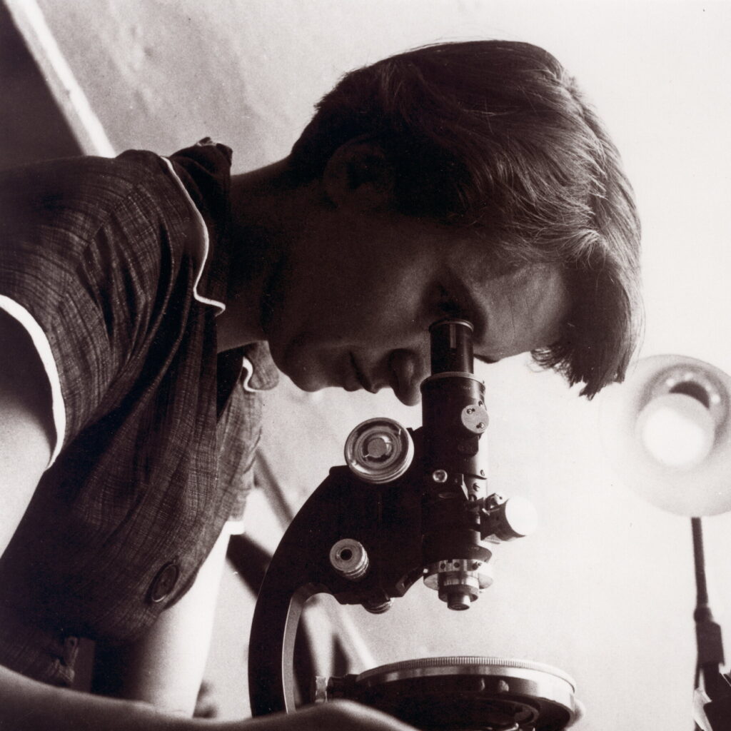 25franklin promo mediumsquareat3x